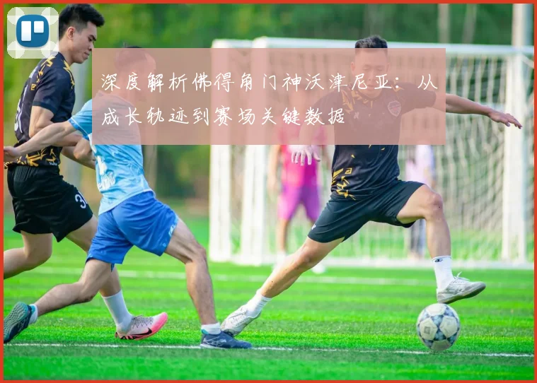 深度解析佛得角门神沃津尼亚：从成长轨迹到赛场关键数据