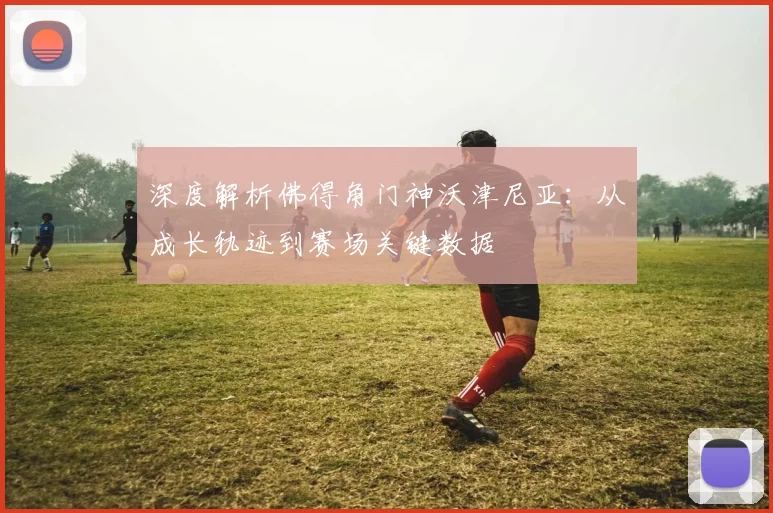 深度解析佛得角门神沃津尼亚:从成长轨迹到赛场关键数据